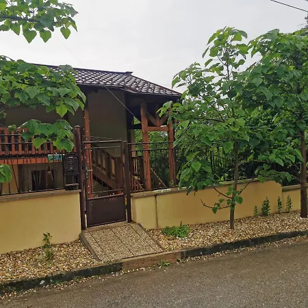 Pawlonia Trencsénteplic