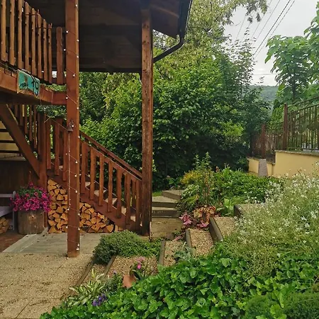 Pawlonia Trenčianske Teplice