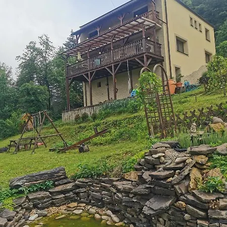 Pawlonia Trencsénteplic