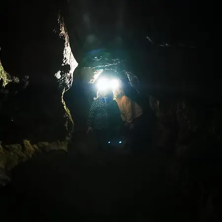 Pawlonia Trencsénteplic