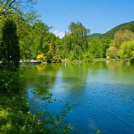 Pawlonia アパート *