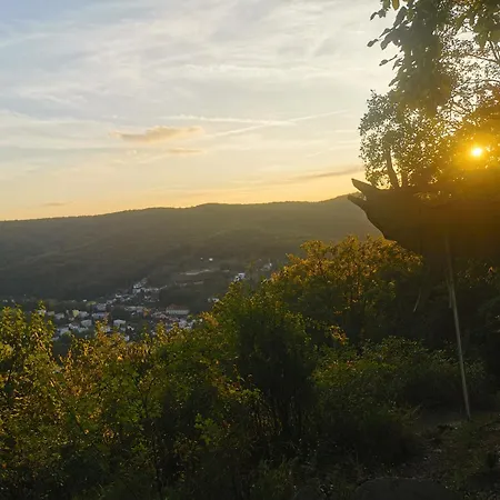 Pawlonia * Trencsénteplic