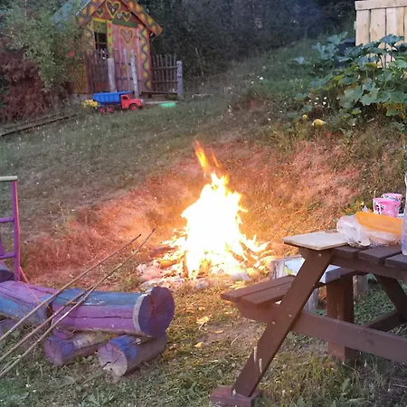 Pawlonia Trencsénteplic