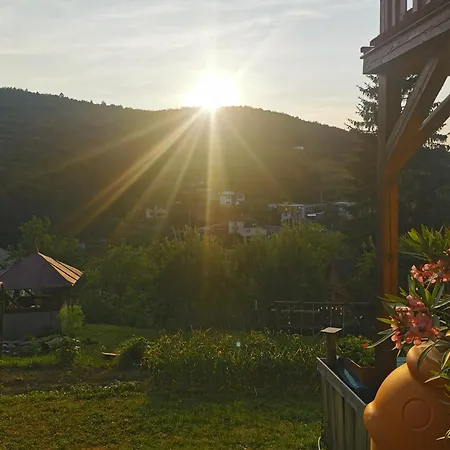 Pawlonia Trencsénteplic