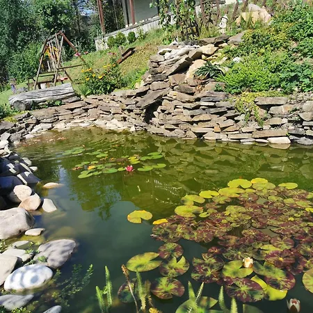 Pawlonia Trencsénteplic