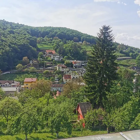 Pawlonia * Trencsénteplic