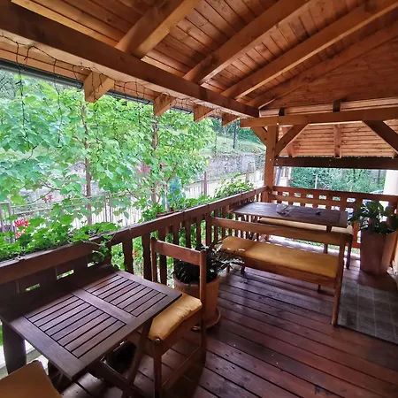 Pawlonia * トレンチアンスケ・テプリツェ