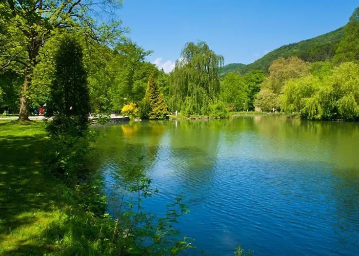 Pawlonia 아파트 *