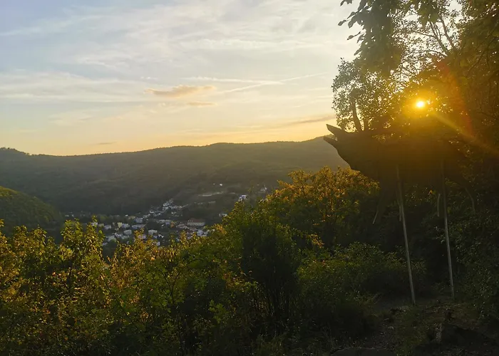 Pawlonia * 트렌시안스케테플리스