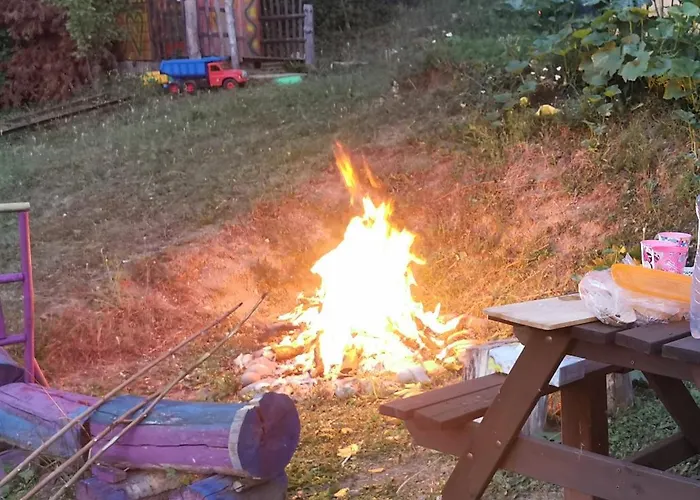 Pawlonia 트렌시안스케테플리스