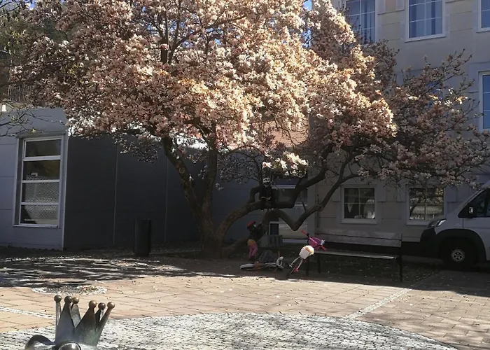 아파트 Pawlonia *