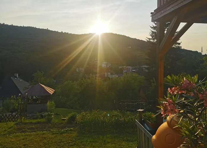 Pawlonia 트렌시안스케테플리스