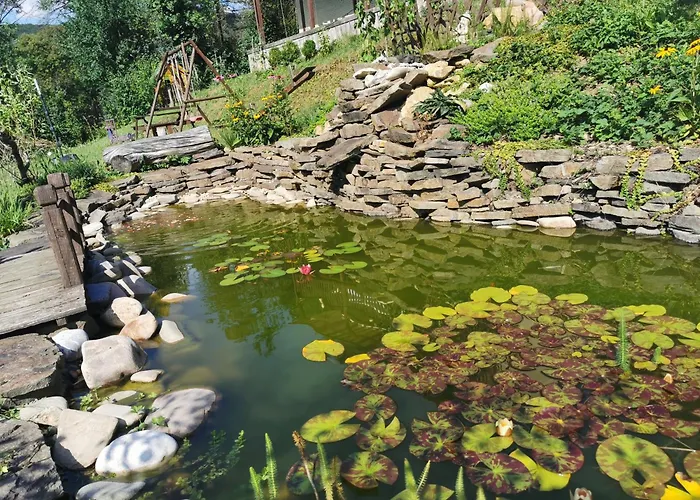 Pawlonia 트렌시안스케테플리스