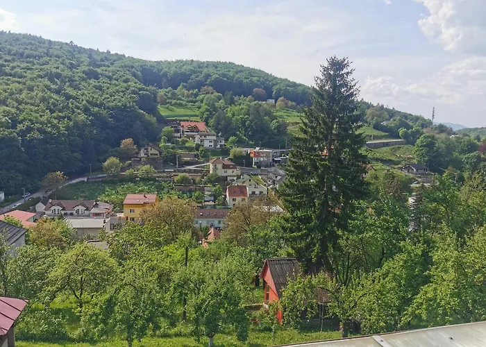 Pawlonia * 트렌시안스케테플리스