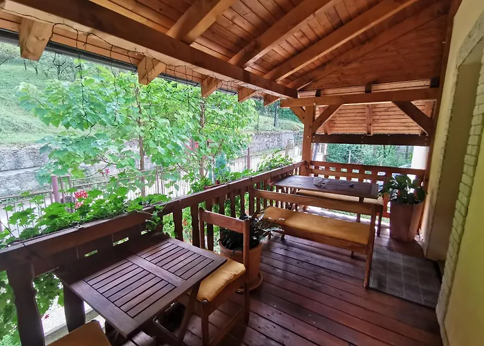 Pawlonia * 트렌시안스케테플리스